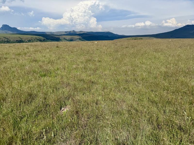 0 Bedroom Property for Sale in Harrismith Free State